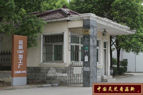 菇新GMP保健品加工廠